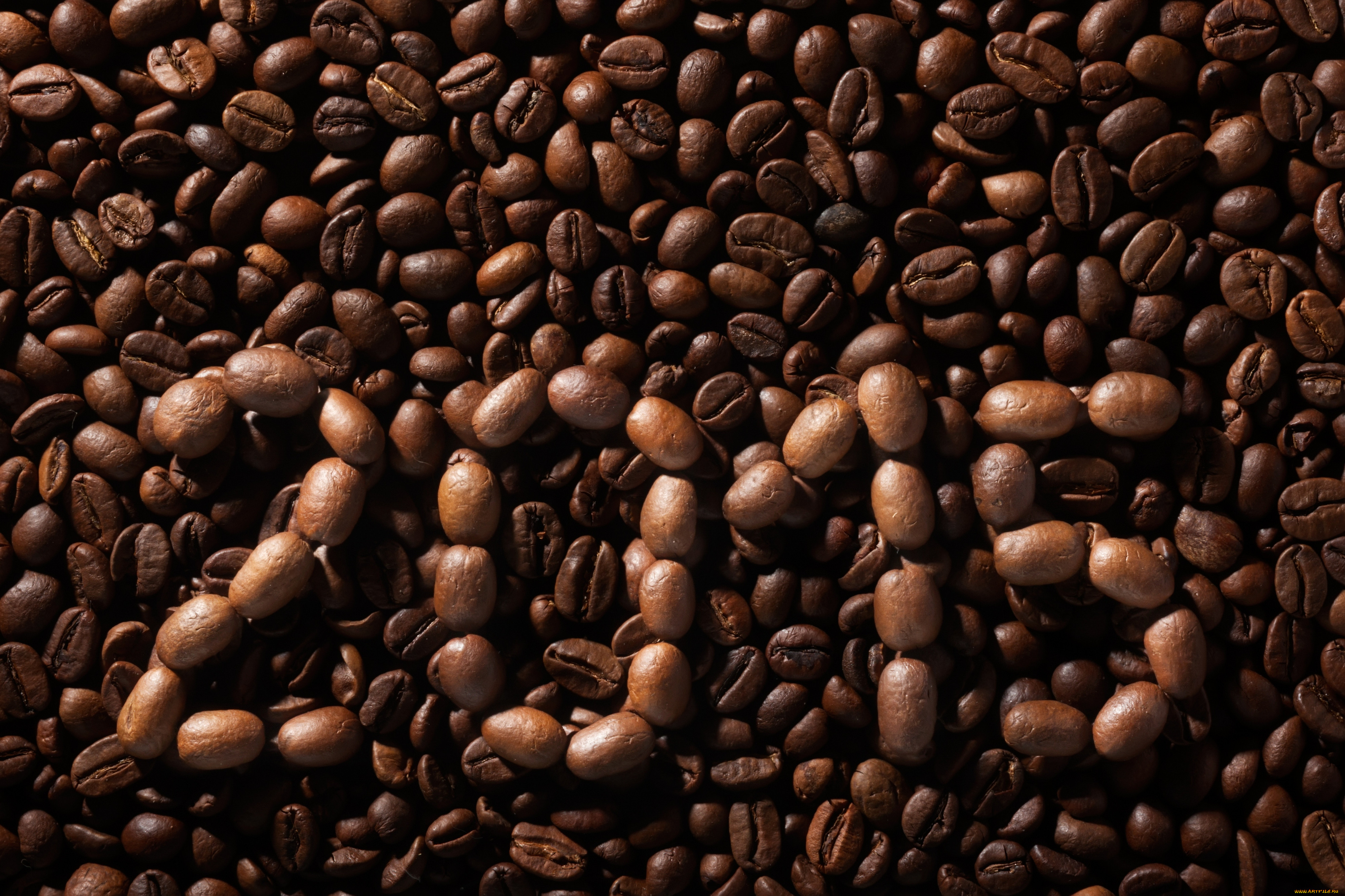 , ,   , beans, coffee, background, 2015, texture